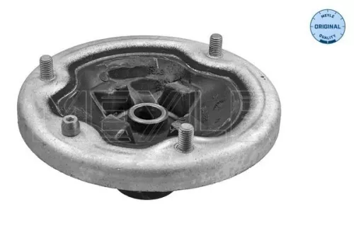 Federbeinstützlager