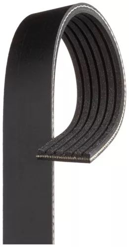 ceinture serpentine