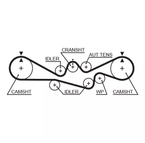 courroie de distribution