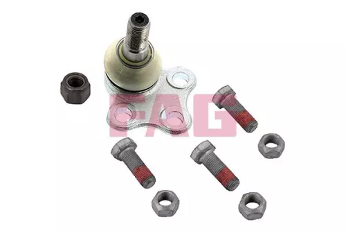 Trag-/Führungsgelenk